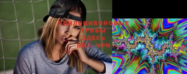герыч Ельня