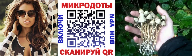 Купить закладки  Дедовск  Галлюциногенные грибы Magic Shrooms 